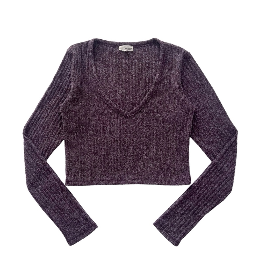 Aritzia Wilfred Free ribbed crop tee